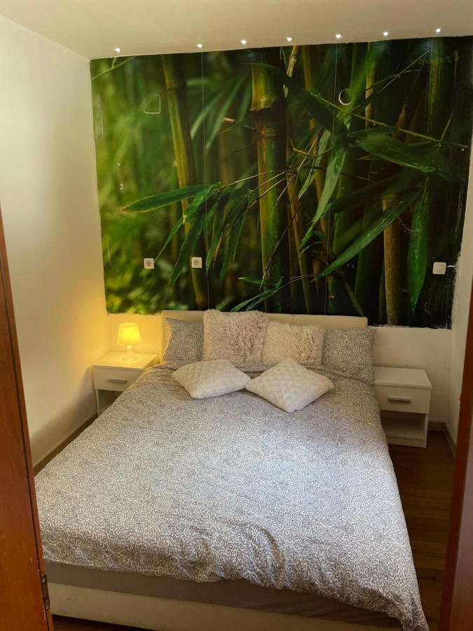 Cozy 1B Apartment Vera-Self Check In Záhřeb Exteriér fotografie